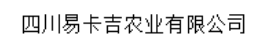 我的网站